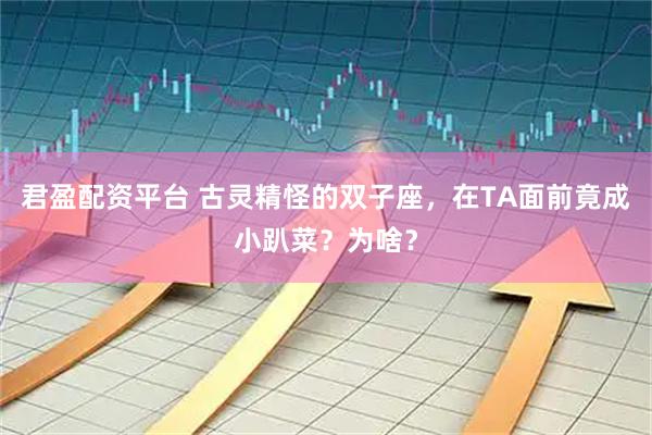 君盈配资平台 古灵精怪的双子座，在TA面前竟成小趴菜？为啥？