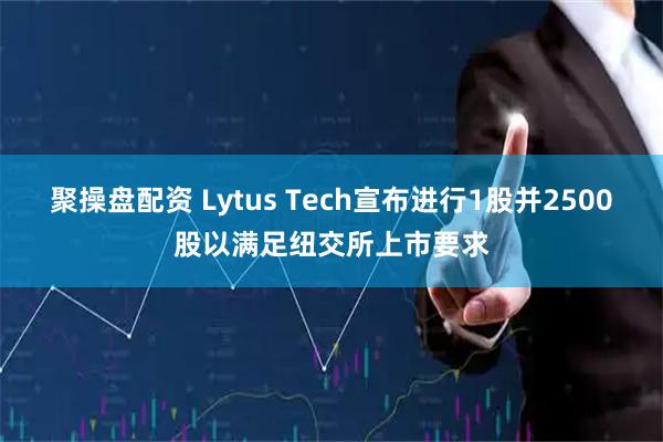 聚操盘配资 Lytus Tech宣布进行1股并2500股以满足纽交所上市要求
