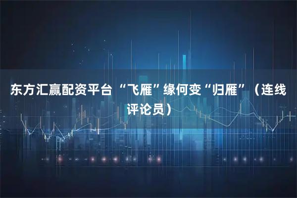 东方汇赢配资平台 “飞雁”缘何变“归雁”（连线评论员）