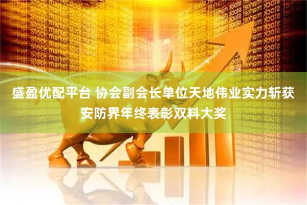 盛盈优配平台 协会副会长单位天地伟业实力斩获安防界年终表彰双料大奖