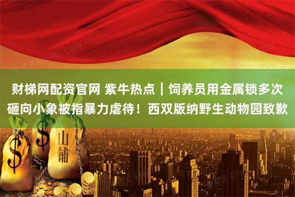 财梯网配资官网 紫牛热点︱饲养员用金属锁多次砸向小象被指暴力虐待！西双版纳野生动物园致歉